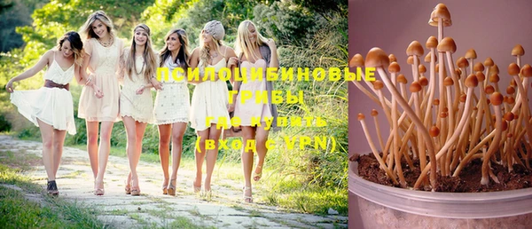 винт Абаза