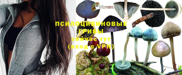 винт Абаза